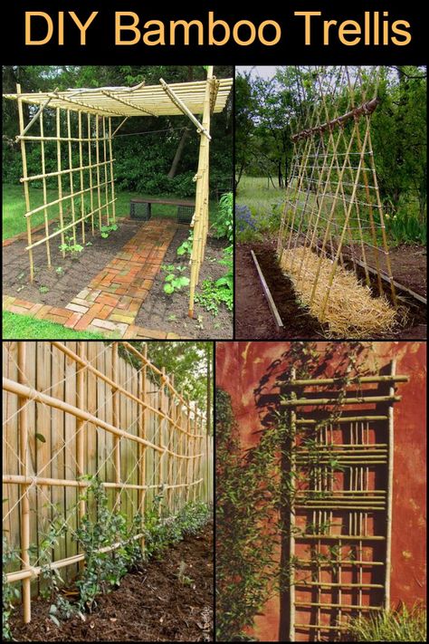 Lashing Bamboo Trellis, Diy Trellis Bamboo, Bamboo Lattice Trellis, Bamboo Garden Structures, Bamboo Garden Arch, Bamboo Garden Trellis Diy, Bamboo Arbor Diy, Bamboo Diy Garden, Bamboo Uses In Garden