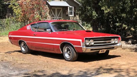 1969 Ford Torino GT Fastback at Dallas 2023 as W171 - Mecum Auctions 1969 Ford Torino Gt Fastback, 1969 Ford Torino, Ford Torino Gt, Ford Torino, Mecum Auction, Classic Cars Muscle, Dallas Texas, Muscle Cars, Dallas