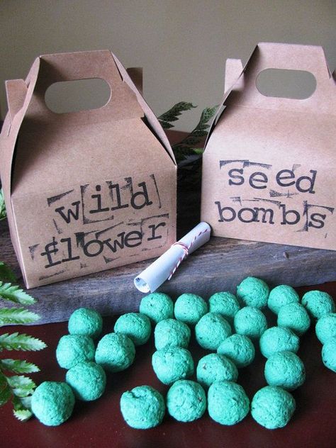 Seed Balls, Earth Day Projects, Earth Day Crafts, Earth Day Activities, Seed Paper, Wildflower Seeds, Nature Crafts, Earth Day, Girl Scouts