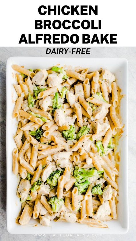 Quick Chicken Pasta Recipes, Chicken Broccoli Alfredo Bake, Broccoli Alfredo Bake, Gluten Free Pasta Dinner, Chicken Recipes Dairy Free, Gluten Free Pasta Dishes, Dairy Free Pasta Recipes, Chicken Pasta Casserole, Alfredo Bake