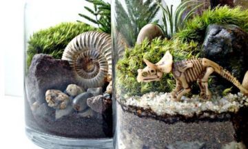 Dinosaur Garden, Dinosaur Fossil, Mini Terrarium, Garden Terrarium, Terraria, Terrarium Plants, Dinosaur Birthday Party, Cactus Y Suculentas, Dinosaur Party