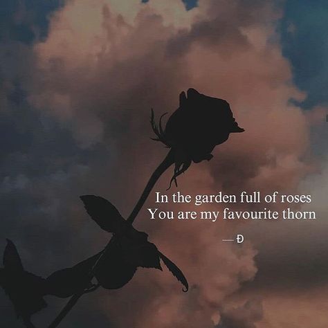 In the garden full of roses. You are my favorite thorn. Thorn Quotes, Shell Quotes, Full Garden, Funny Tumblr Stories, Tumblr Stories, Rose Quotes, Funny Baby Memes, Super Funny Memes, Funny Relationship Memes