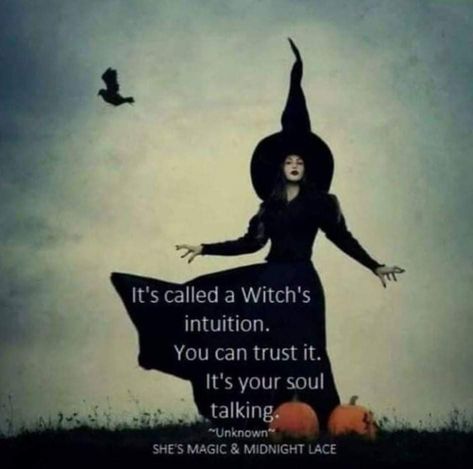 Stuffed Pumpkin, Witch Coven, Witch Quotes, Witch Spirituality, Witchcraft Spell Books, Witch Spell, Witch Magic, Ann Marie, Wiccan Spells