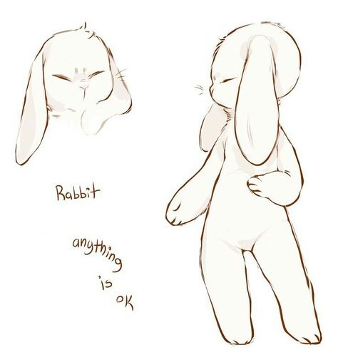 Master Drawings, Bunny Drawing, Bunny Art, Anime Drawings Tutorials, Art Tutorials Drawing, Cute Animal Drawings, Drawing Base, Art Inspiration Drawing, A Drawing