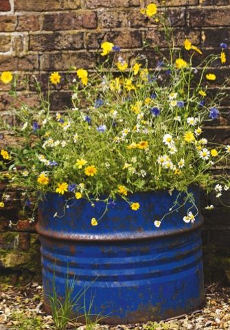 mini meadow garden Mini Meadow, Meadow Garden, Garden Illustration, Wildlife Gardening, Wildflower Garden, Garden Containers, Container Gardens, Container Plants, Front Garden