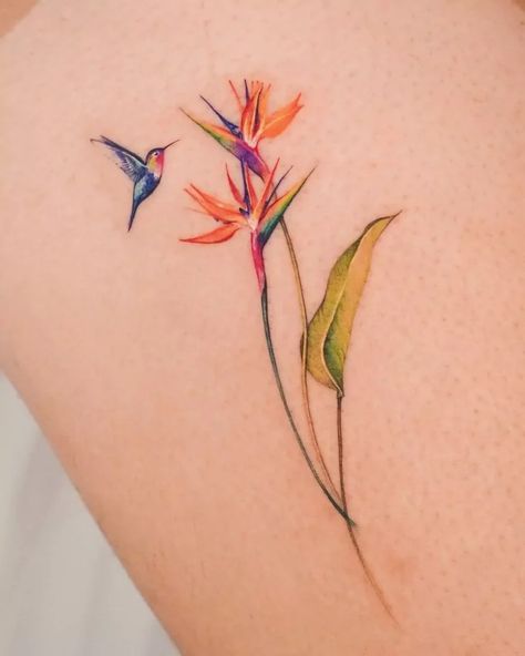 93 Mesmerizing Hummingbird Tattoos With Meaning In {2024} Hummingbird Tattoo Color, Native American Bird Tattoo, Hummingbird Tattoo Watercolor, Hummingbird Flower Tattoos, Bird Of Paradise Tattoo, Small Hummingbird Tattoo, Hummingbird Tattoos, Places For Tattoos, Paradise Tattoo