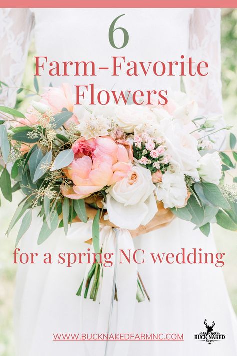 Six favorite spring wedding flowers from our Pittsboro, NC flower farm June Flowers In Season Wedding Bouquets, Pittsboro Nc, Boho Bridal Bouquet, Bells Of Ireland, Coral Charm Peony, Flower Farming, Wedding Flowers Peonies, Peonies And Hydrangeas, Ranunculus Flowers