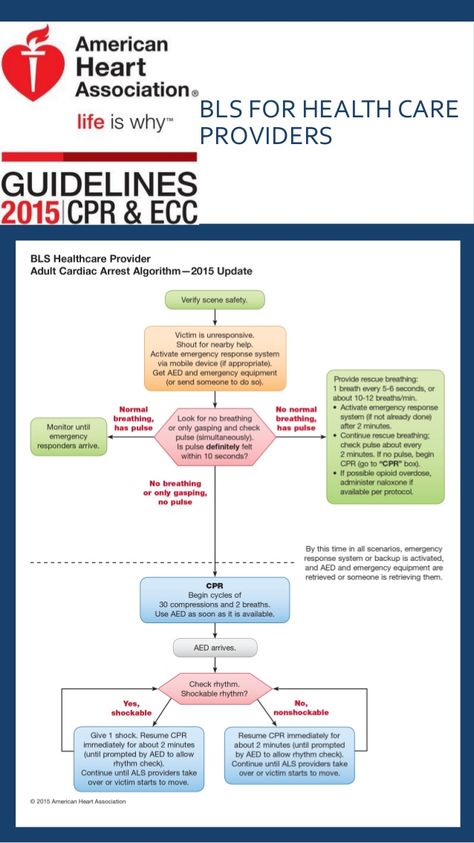 AHA 2015 Algorithms for BLS, ACLS PALS Pals Algorithm, Acls Algorithm, Bls Cpr, Paramedic School, Basic Life Support, Nursing Study Guide, Nursing Care Plan, Cardiac Nursing, Pharmacology Nursing