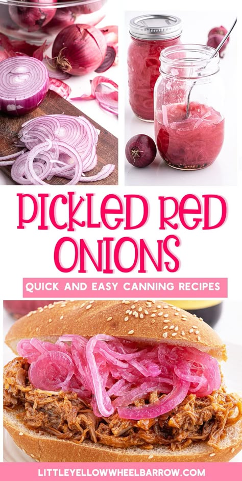 Canning Red Onions, Pickled Red Onions Recipe, Red Onion Recipes, Quick Pickled Red Onions, Easy Canning, Pressure Canning Recipes, Quick Pickled Onions, Quick Pickled, Pickled Red Onions