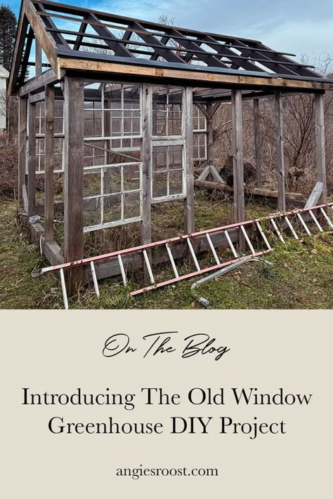 Introducing the old window greenhouse DIY project. We recently kicked off this project intending to have it done for fall gardening (and maybe some winter gardening). This has been a massive DIY project, utilizing old window sash, framing it, and restoring the old windows to be weather-tight. Visit the blog for a project introduction along with next steps. And follow along as we build a dreamy old window greenhouse. Diy Window Greenhouse Ideas, Diy Greenhouse Windows, Greenhouse Made Of Old Windows, Old Window Greenhouse Diy, Old Window Projects For Outdoors, Greenhouse Diy Old Windows, Vintage Window Greenhouse, Glass Window Greenhouse, Diy Greenhouse With Old Windows