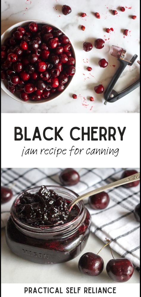 Looking for homemade jam recipes for canning? Try our Black Cherry Jam guide. This recipe uses only 3 ingredients and doesn't require pectin, making it an easy and accessible recipe for beginners. Indulge in the rich, sweet taste of black cherries in your homemade jam, any time of the year. Sweet Cherry Jam Recipe Canning, Bing Cherry Jam, Cherry Jelly Recipe Canning, Cherry Jam Recipe Canning, Jam Recipes For Canning, Cherry Jelly Recipes, Homemade Jam Recipes, Cherry Jam Recipe, Black Cherry Jam