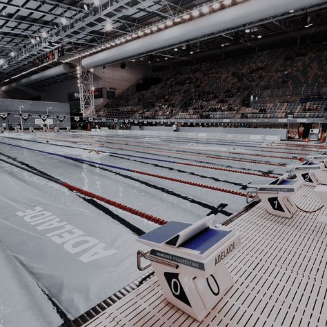 Swim Club Aesthetic, Blue Dark Wallpaper, Swimming Sport Aesthetic Wallpaper, Competitive Swimming Aesthetic Wallpaper, Swimming Aesthetic Sport, Swimming Laps Aesthetic, Summer Swim Team Aesthetic, Black Swimming Costume, Swim Aesthetic