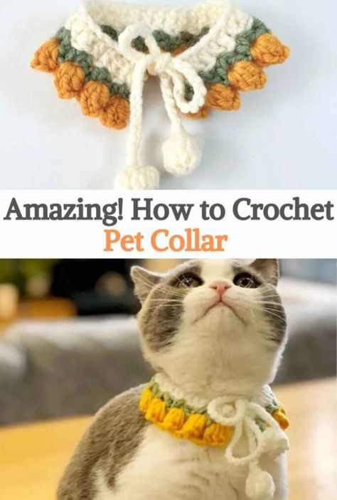 Hello, how are you today? Welcome to our blog About Crochet. We hope you are very well and looking forward to a new Free Crochet Pattern or Tutorial. Cat Collar Pattern, Crochet Pet Collar, Crochet Cat Collar, Collar Ideas, Crochet Pet, Crochet Cat Toys, Diy Crochet Doll, Textured Yarn, Beginner Crochet Projects