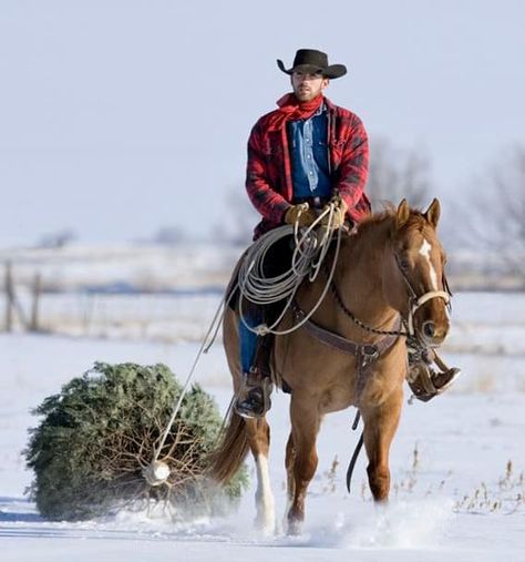 Merry Christmas Yall, Christmas Horses, Cowboy Horse, Western Life, Dude Ranch, Cowboy Christmas, Cowboy Up, Horse Ranch, Western Christmas