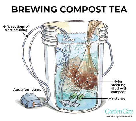 Compost Tea: Give your soil a healthy dose of beneficial microbes with brewed compost tea. Compost Tea How To Make, Compost Tea Recipe, Compost Tea Brewer, Comfrey Tea, Tunnel Greenhouse, How To Make Compost, Aquarium Pump, Tea Brewer, Compost Tea