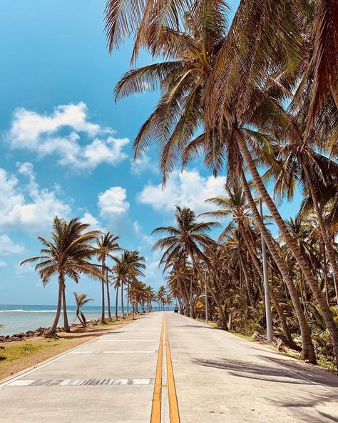 Colombia Aesthetic, Andaman And Nicobar Islands, Palm Tree Sunset, Tropical Travel, Water Collection, Koh Tao, Backgrounds Phone Wallpapers, Open Water, Summer Wallpaper