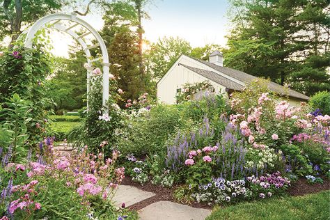 How to Create Colorful Flower Borders: Learn how Heather Thomas of Cape Cottage Garden keeps her flower borders colorful from spring through fall! Wildlife Garden Design, Border Landscaping, Lantana Flower, Cottage Garden Borders, Hardscape Backyard, Best Bathroom Plants, Cape Cottage, Summer Planting, English Garden Ideas