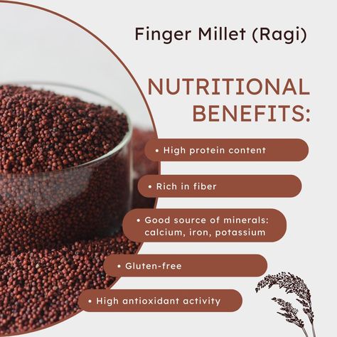 🌾 Discover the Power of Finger Millet! 🌾 Finger millet, also known as Ragi, is a powerhouse of nutrition! Rich in calcium, iron, and essential nutrients, it's perfect for maintaining bone health, boosting energy, and even aiding in weight management. Whether in traditional recipes or modern meals, finger millet is a versatile grain that offers endless benefits. 💪✨ #Superfood #FingerMillet #RagiBenefits #HealthyEating #HerbalHimalaya Finger Millet, Traditional Recipes, Fiber Rich, Bone Health, Millet, Boost Energy, Weight Management, Traditional Food, High Protein