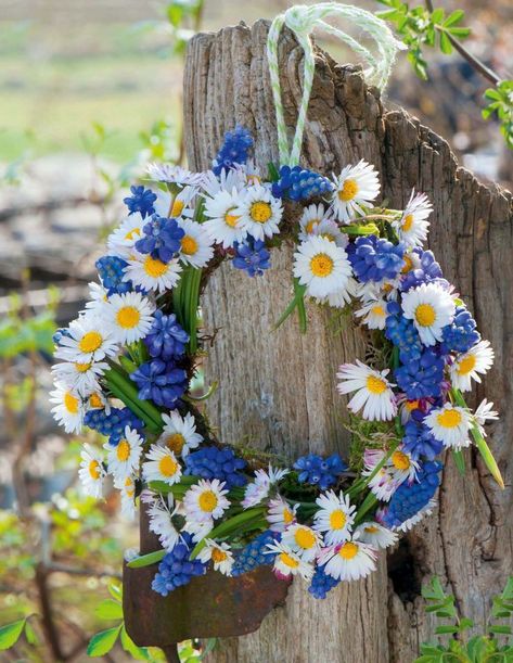 Very Beautiful Flowers, Diy Spring, Beltane, Beautiful Flowers Pictures, Spring Diy, Floral Crown, Forget Me Not, Flower Pictures, Summer Flowers