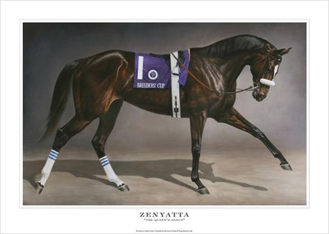 "The Queen's Dance" Zenyatta Horse, Thoroughbred Racehorse, American Pharoah, Breeders Cup, Equestrian Art, Dance Poster, Race Horses, Thoroughbred Horse, Equine Art