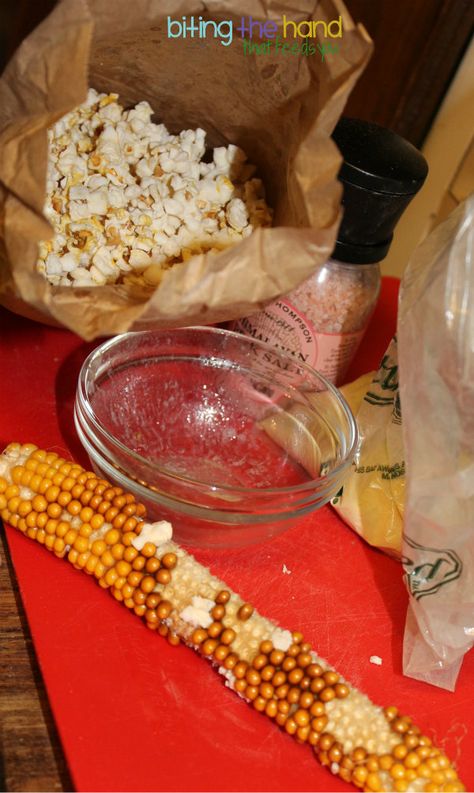 Biting The Hand That Feeds You: How To Dry and Pop Popcorn On The Cob! Crop Storage, Fun Fall Treats, How To Make Popcorn, Root Cellar, Dried Corn, Pop Popcorn, Corn On The Cob, Corn Recipes, Corn On Cob