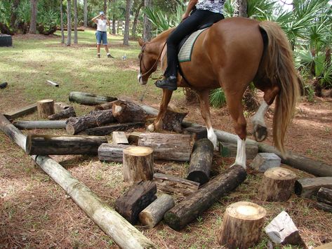 Extreme Trail Horse Obstacles, Horse Obstacle Course Ideas, Horse Playground, Paddock Paradise Ideas, Log Playground, Horse Obstacles, Paddock Trail, Paddock Paradise, Saddle Rack