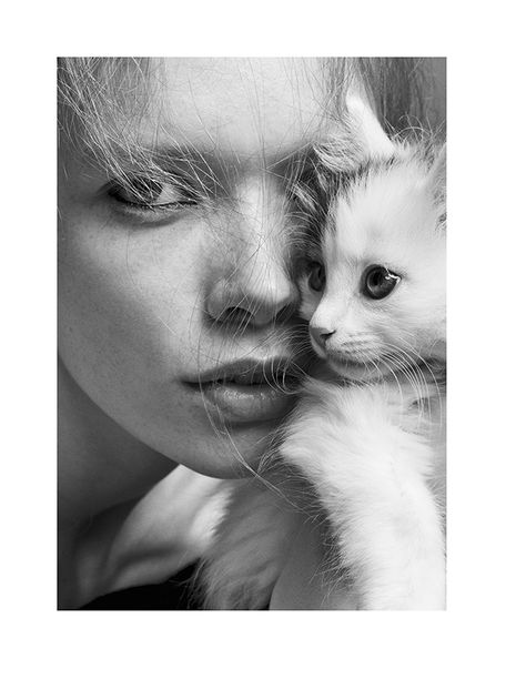 Julia Hafstrom Lounges with Cats in Scandinavia S/S/A/W by Hasse Nielsen | Fashion Gone Rogue Persian Kittens, Skateboarder, Cat Photography, Cat People, Marauders Era, Losing A Dog, Persian Cat, Eye Art, White Photo