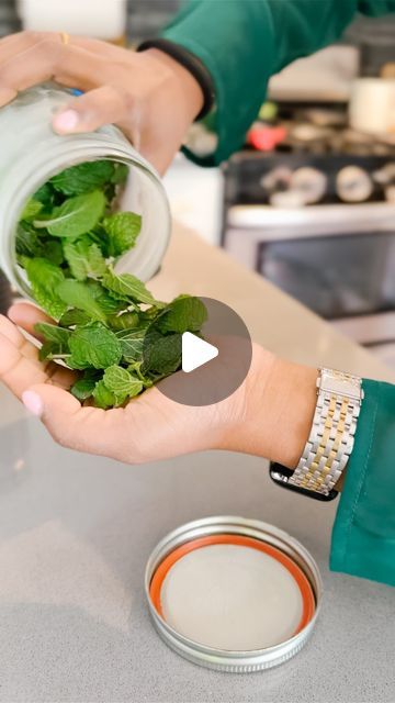 How To Store Fresh Mint Leaves, How To Freeze Mint Leaves, How To Preserve Mint Leaves, How To Dry Mint Leaves, Preserve Mint Leaves, Mint Leaves Recipe, Drying Mint Leaves, Ziplock Bag, Fresh Mint Leaves