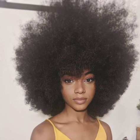 Pixie Bob Hairstyles, Big Afro, Afro Natural, Afro Style, Natural Afro Hairstyles, Afro Puff, Texturizer On Natural Hair, Curly Afro, Natural Hair Inspiration