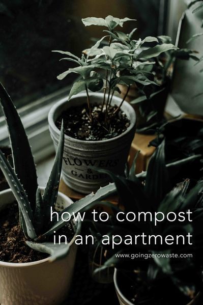 A Composting Guide for Apartment Living from www.goingzerowaste.com #zerowaste #ecofriendly #gogreen #sustainable #compost #composting #apartmentliving Small Compost Bin, Apartment Composting, How To Compost, Zero Waste Kitchen, Low Waste, Zero Waste Living, Zero Waste Lifestyle, Composting, Eco Friendly House