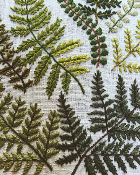 Embroidered ferns by tessa_perlow.  green, stiching, illustration, nature, leaves Shirt Embellishments, Botanical Embroidery Pattern, Embroidery Leaf, Ideas Embroidery, Simple Embroidery, 자수 디자인, Embroidery Ideas, Hand Embroidery Patterns, Embroidery Inspiration