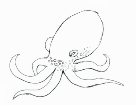 Final Octopus Sketch Squid Drawing, Octopus Sketch, Cool Drawings For Kids, Octopus Coloring Page, Octopus Drawing, Tree Drawings Pencil, Easy Cartoon Drawings, Easy Drawing Tutorial, Cute Octopus