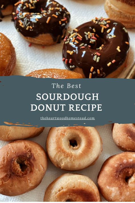 The Best Sourdough Donut Recipe Sourdough Discard Donut Recipes, Sweet Sourdough Recipes, Sourdough Donuts Recipe, Sourdough Donut, Sourdough Donut Recipe, Chocolate Glaze Recipes, Bread Bowl Recipe, Donut Toppings, Discard Recipes