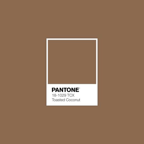 Discover Inspirational Pantone Color Palette · Lab 47,88 11,33 21,21 · sRGB 139 106 79 · HEX 8B6A4F · Pantone · FHI Cotton TCX · PANTONE 18-1029 TCX Toasted Coconut Pantone Palette, Color Pantone, Weathered Teak, Pantone Colour Palettes, Palette Design, Pantone Colors, Cinnamon Swirl, Fall Color Palette, Rustic Colors