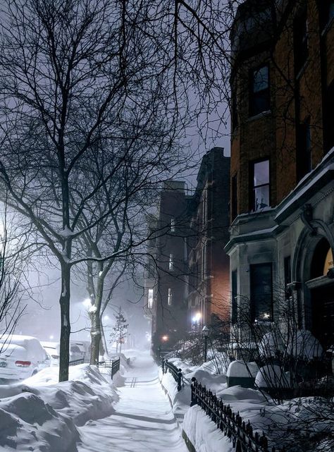 Pictures of Chicago | Three years ago today on February 15, 2021 when snow fell soundlessly in the middle of the night. | Facebook Pictures Of Chicago, Chicago Snow, Chicago Winter, Chicago History, Middle Of The Night, Winter Scenery, February 15, I ❤ Ny, Winter Aesthetic