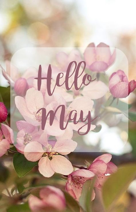 cσmmєnt íf чσur вírthdαч íѕ ín mαч: í wαnt tσ fínd mч вírthdαч twín!!! Welcome May Month Blessings, Happy May Day Quotes, Welcome May Quotes Month, Welcome May Quotes, Goodbye April Hello May, Goodbye April, Quotes Goodbye, April Hello, Hello May Quotes