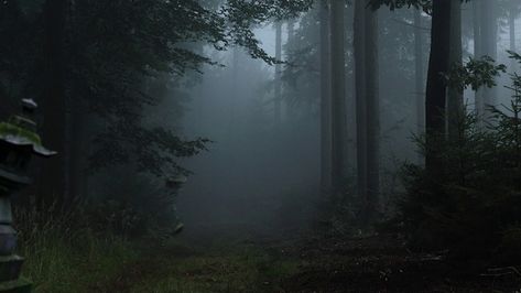 Forest Wallpaper Pc, Dark Forest Aesthetic, Foggy Forest, Dark Paradise, Pretty Landscapes, Forest Wallpaper, Pretty Photos, Laptop Wallpaper, Dark Forest