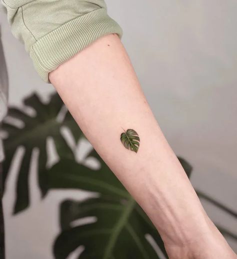 Monstera Tattoos, Monstera Deliciosa Tattoo, Monstera Plant Tattoo, Monstera Tattoo, Special Tattoos, Stylish Tattoo, Plant Tattoo, Botanical Tattoo, Old Tattoos