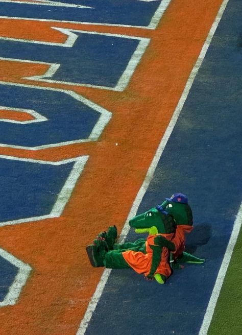 university of florida football field showing albert the gator and alberta the gator sitting in the endzone and cuddling Florida Gators Wallpaper, Uf Gator, Florida Football, Florida Gators Football, Chomp Chomp, Gators Football, Florida Gator, Football Field, Tiktok Style