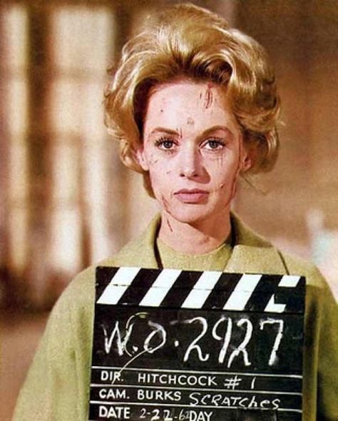 Tippi Hedren makeup test for The Birds (1963) Alfred Hitchcock The Birds, Jessica Tandy, Tippi Hedren, Alfred Hitchcock Movies, Hitchcock Film, Septième Art, For The Birds, Swinging Sixties, Ingrid Bergman