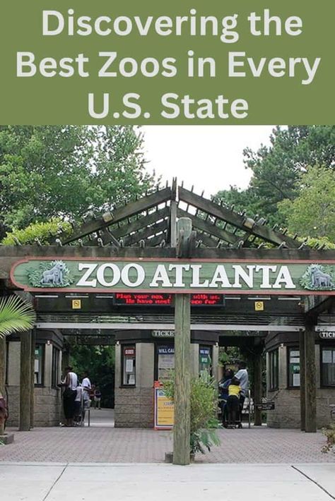 Discover which zoo is the best in every US state, the programs they offer, the exhibits and their conversation effects. Family Travel Destinations, U.s. States, Travel With Kids, Family Travel, Travel Destinations, Road Trip, This Is Us, Travel