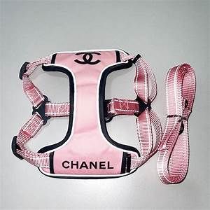 Girl Dog Accessories, Designer Dog Harness, Cute Dog Clothes, Puppy Harness, Pink Chanel, Pet Harness, Dog Pin, Pink Dog, Girl And Dog