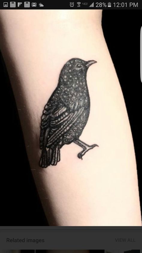 Starling Bird Tattoo, Starling Tattoo, Blackbird Tattoo, Left Arm Tattoo, Magpie Tattoo, Cool Tattoo Designs, Stick And Poke Tattoos, Brighton Tattoo, Left Arm Tattoos