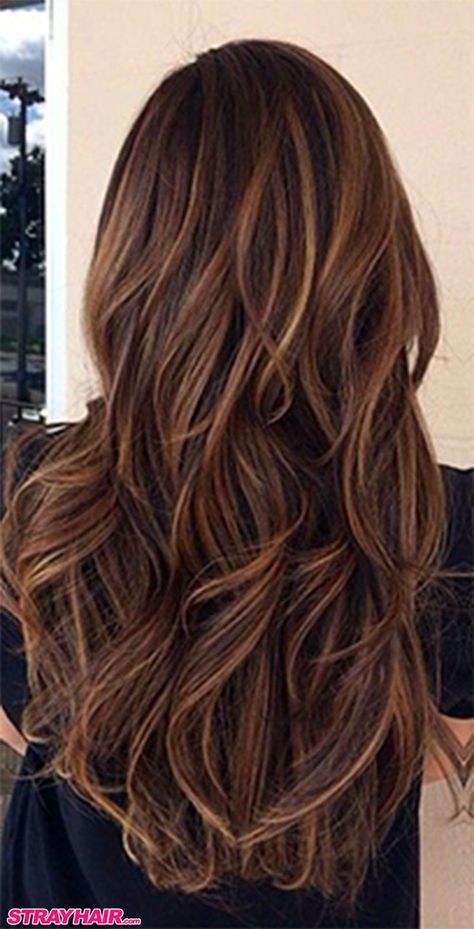 Brown Hair With Highlights And Lowlights, Rambut Brunette, Colored Hair Tips, Hot Hair Colors, 2015 Hairstyles, Auburn Hair, Brown Hair With Highlights, Short Hairstyle, Hair Color Trends