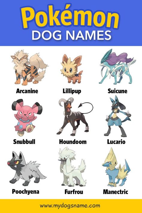 Pokemon Dog, Dogs Names List, List Of Pokemon, Dog Pokemon, Pokemon Names, Cute Names For Dogs, Names List, All Pokemon, Pokemon Fan