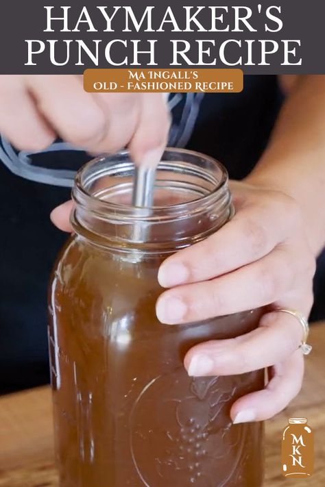 Haymakers Punch, Ginger Water Recipe, Ma Ingalls, Switchel Recipe, Cider Vinegar Drink, Vinegar Drink, Pioneer Days, Vinegar Drinks, Liver Care