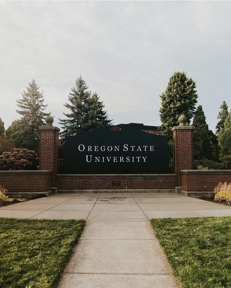 Oregon University Aesthetic, Oregon State University Aesthetic, Uw College Aesthetic, University Of Oregon Aesthetic, Creative Writing Major, Oregon State University Dorm, Southern Oregon University, Osu Beavers, Oregon College