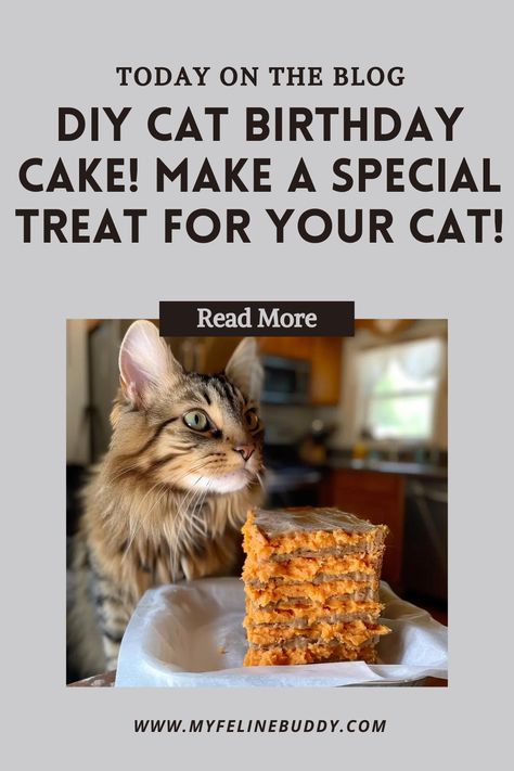 Celebrate your cat’s special day with a DIY birthday cake! Follow our easy recipe to make a delicious and safe treat your feline friend will love. #CatBirthday #DIYPetTreats #HappyCats Cat Birthday Cake, Homemade Birthday Cake, Birthday Cake For Cat, Homemade Cat Food, Diy Birthday Cake, Instant Mashed Potatoes, Cat Nutrition, Homemade Birthday Cakes, Homemade Birthday