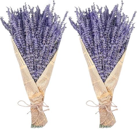 Amazon.com: Dried Lavender Bundles, Uieke Natural Dried Lavender Flowers 280-300 Stems 16“ for Home Weeding Decoration Flower Arrangements Home Fragrance 2 Bundles : Home & Kitchen Dried Potpourri, Purple Flower Bouquet, Dried Lavender Flowers, Lavender Wreath, Floral Craft, Dried Lavender, Lavender Flowers, Flower Bouquet Wedding, Flower Beauty