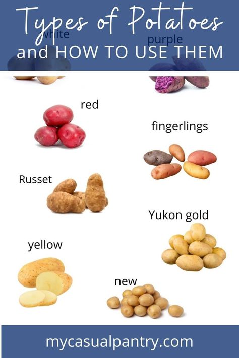 images of assorted varieties of potatoes. Types Of Potatoes For Cooking, Different Kinds Of Potatoes, Potato Types And Uses, Potato Types, Loaded Baked Potato Casserole, Roasted Garlic Aioli, Potato Varieties, Roasted Fingerling Potatoes, Fluffy Mashed Potatoes